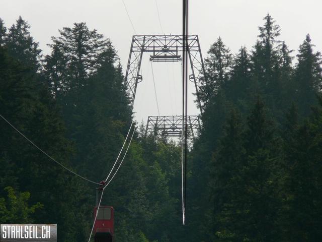 k-P1390572.JPG