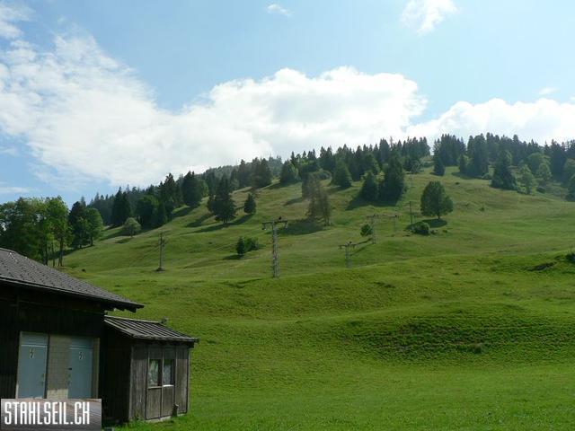 k-P1340545.JPG