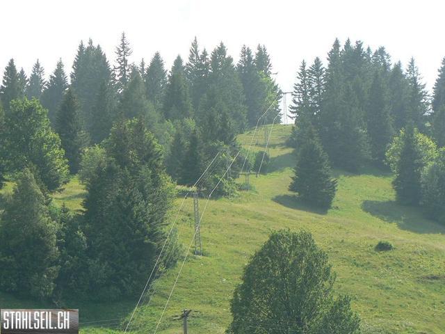 k-P1340546.JPG