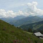 k-P1340663.JPG