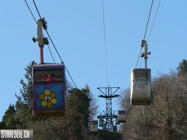 k-P1260819.JPG