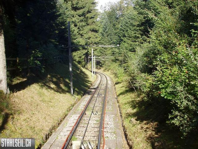 k-P9180041.JPG