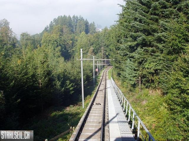 k-P9180048.JPG