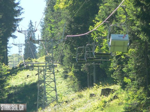 k-P1710589.JPG