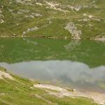 k-P7260157.JPG