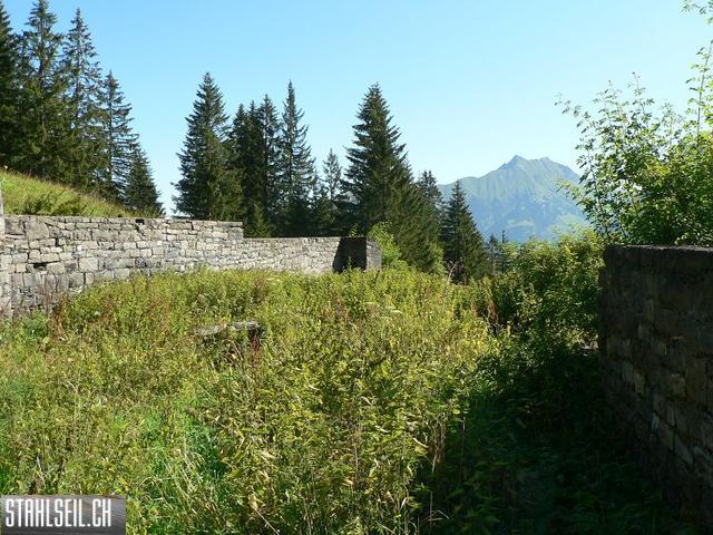 k-P1720826.JPG