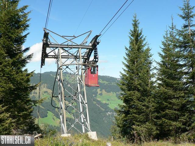k-P1730046.JPG