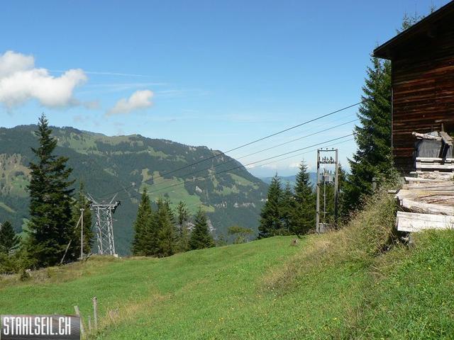 k-P1730061.JPG