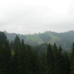 k-P1750313.JPG