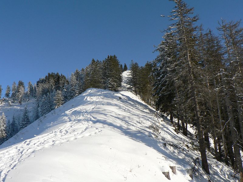 k-P1790277.JPG