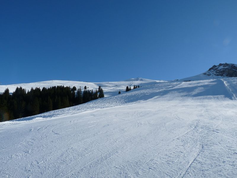 k-P1020427.JPG