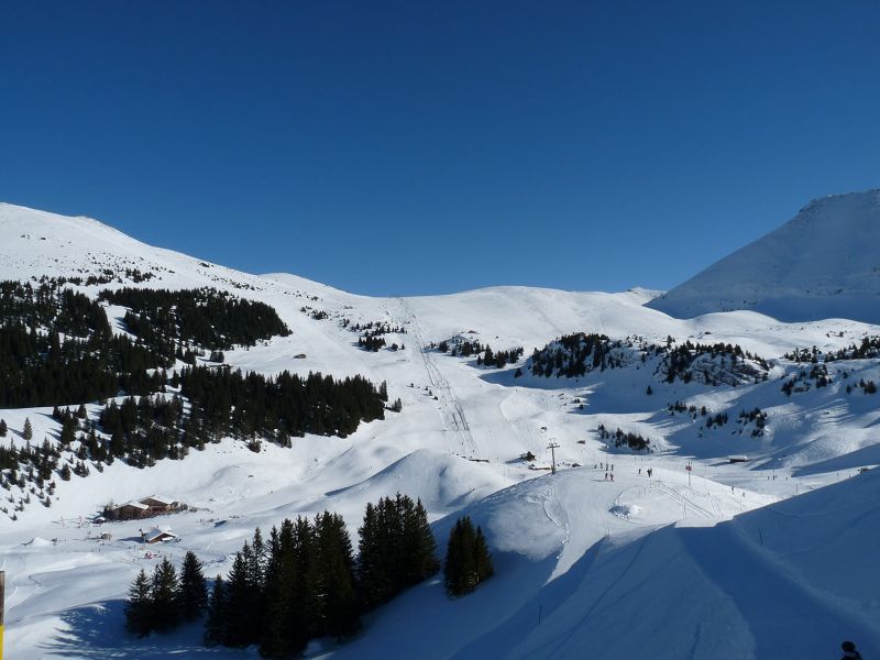 k-P1020484.JPG