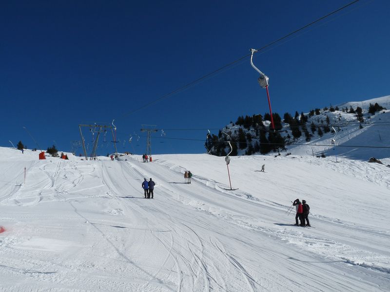 k-P1020587.JPG