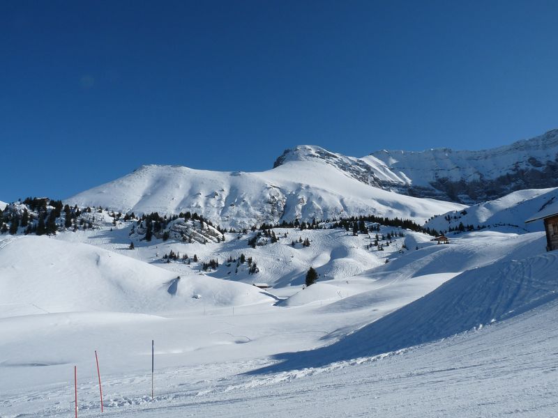 k-P1020652.JPG