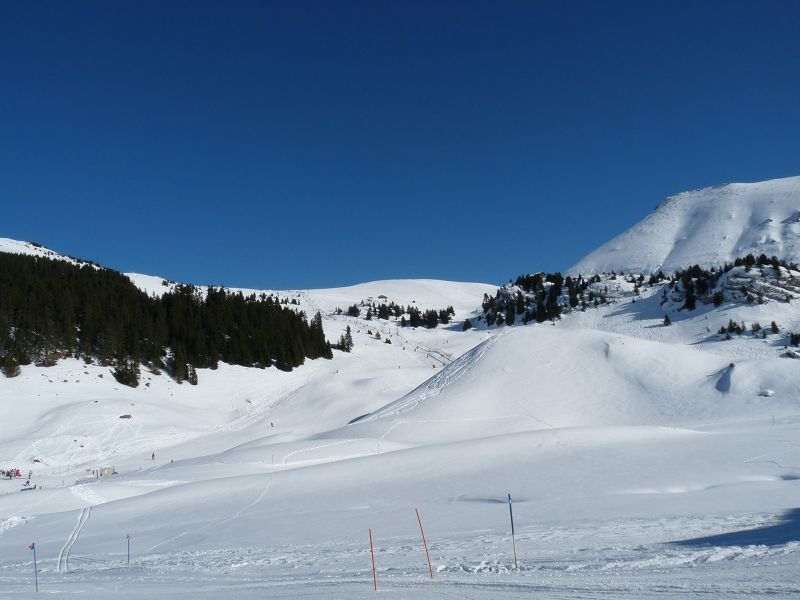 k-P1020653.JPG