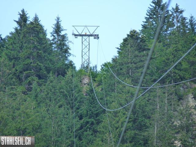 k-P1180520.JPG
