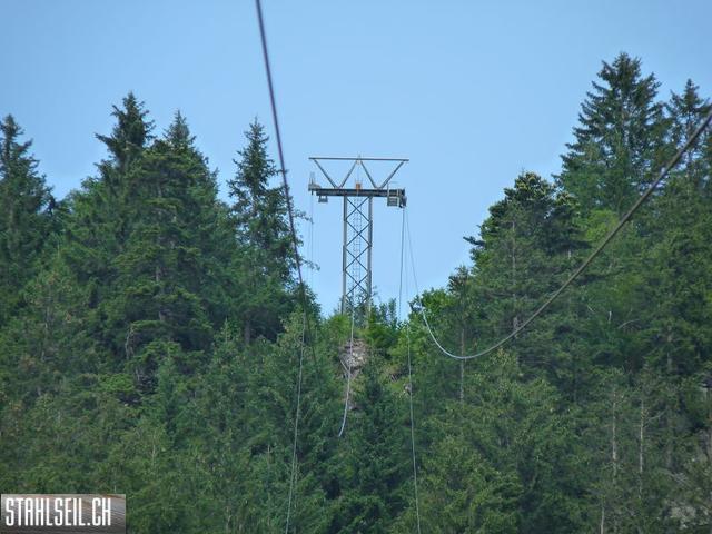 k-P1180525.JPG
