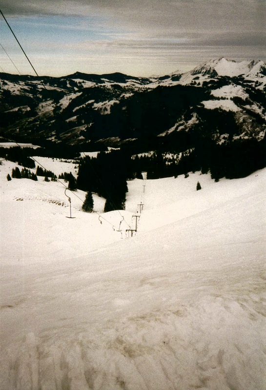 SAVE0017.JPG