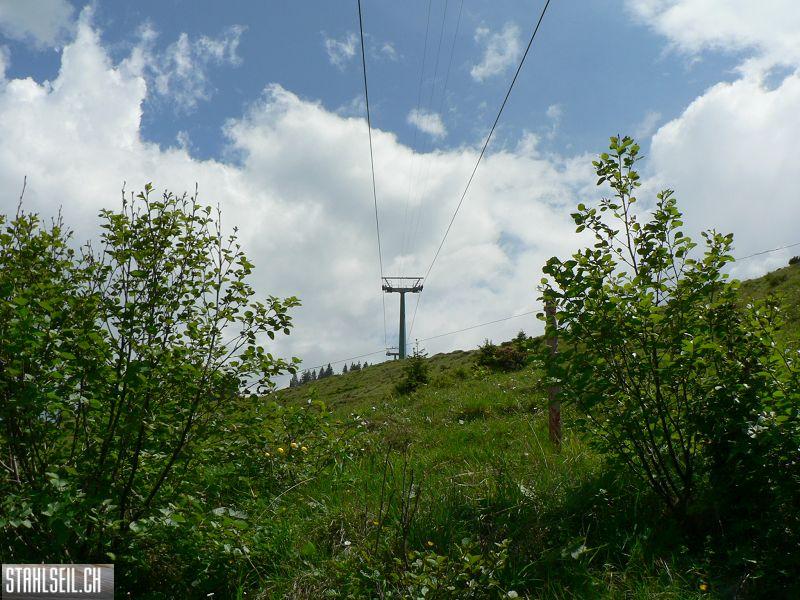 k-P1340459.JPG
