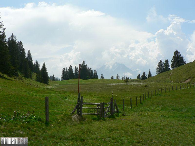 k-P1340471.JPG