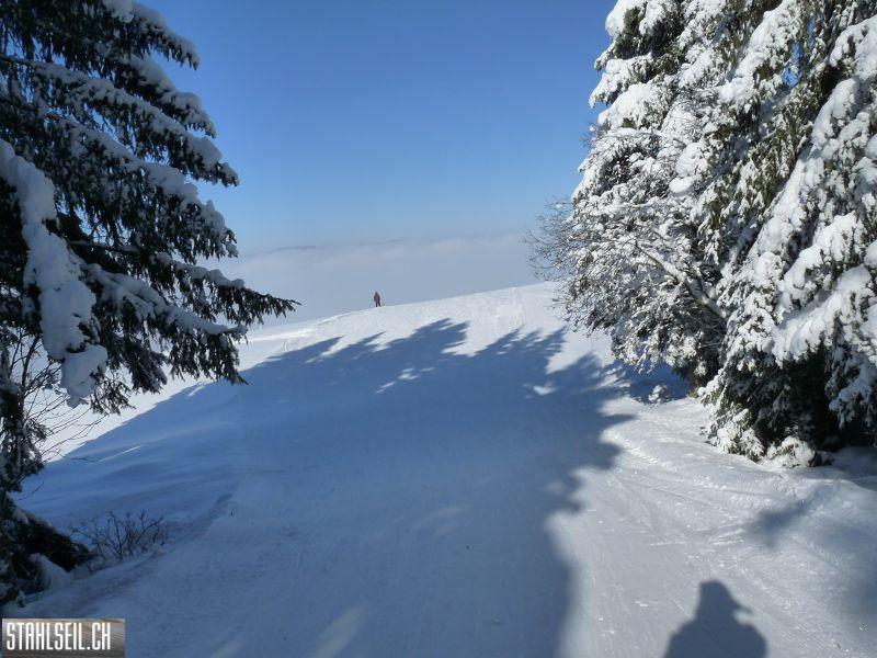k-P1280994.JPG