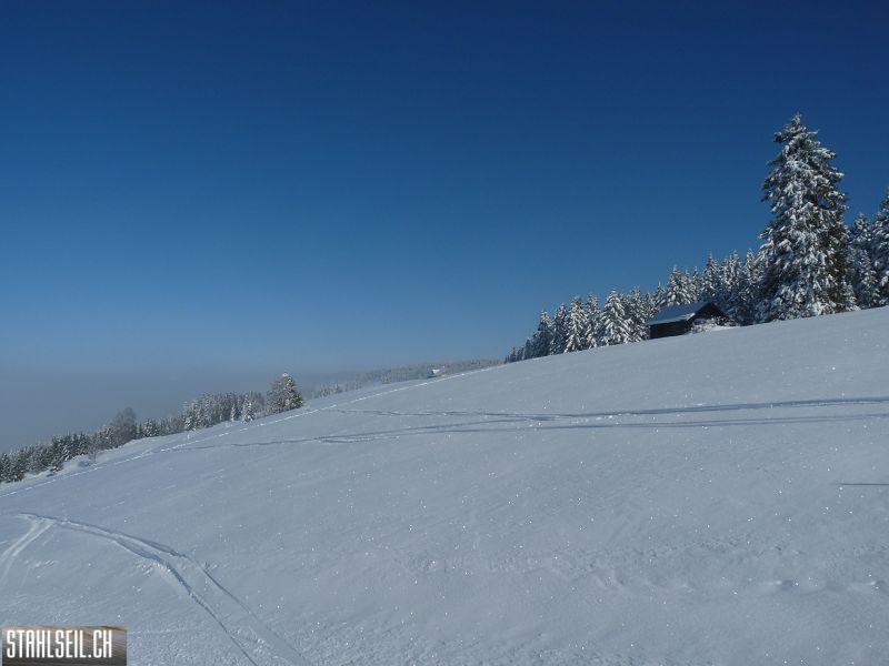 k-P1280998.JPG