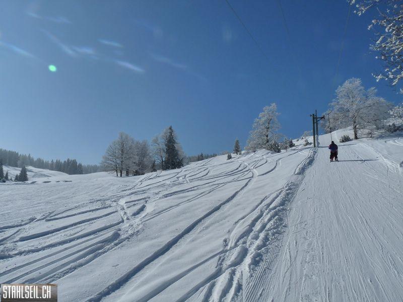 k-P1280868.JPG