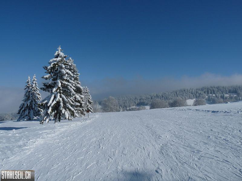 k-P1280777.JPG