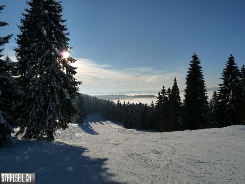 k-P1290152.JPG