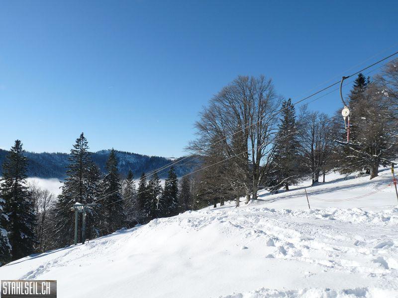 k-P1000883.JPG
