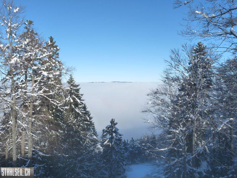 k-P1000888.JPG