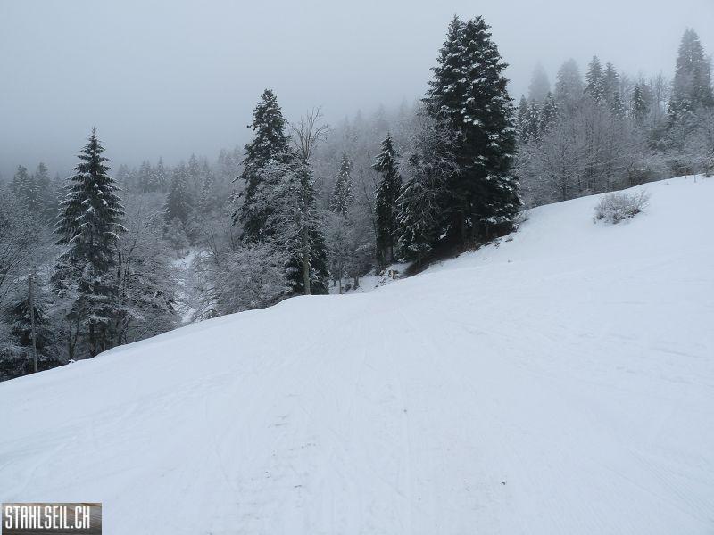 k-P1000919.JPG