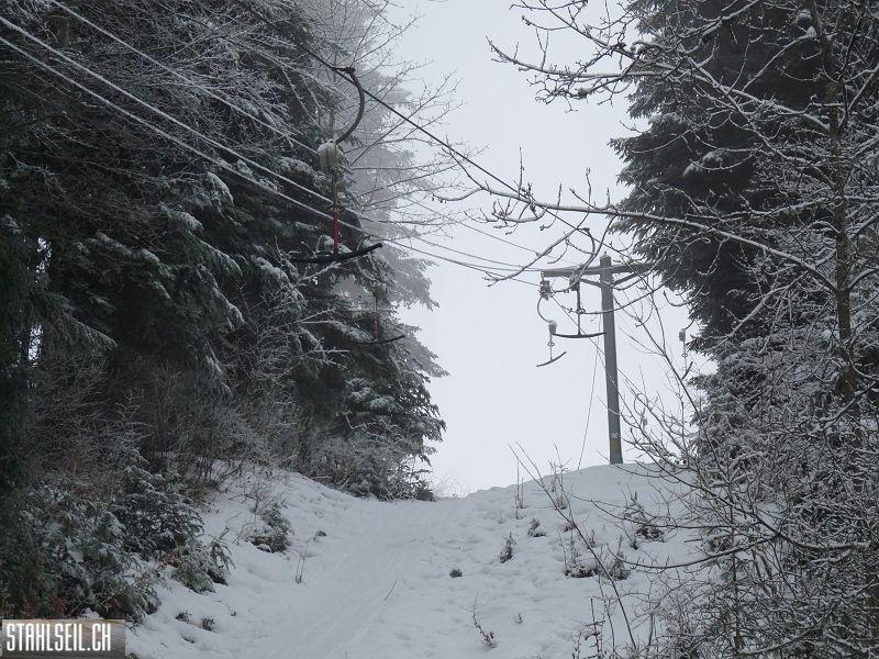 k-P1000947.JPG