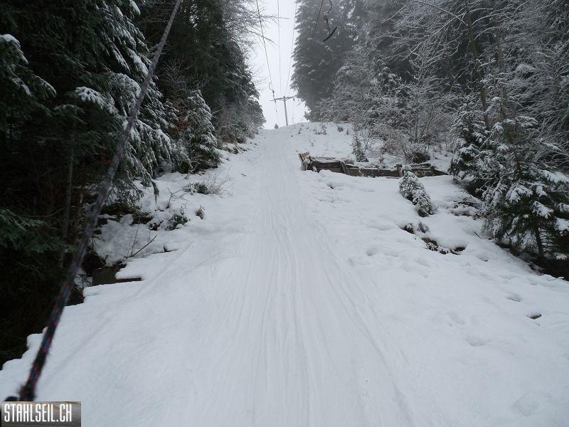 k-P1000968.JPG