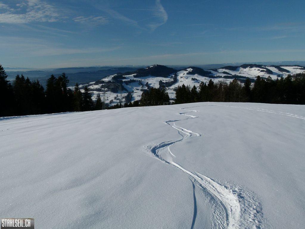 k-P1240083.JPG