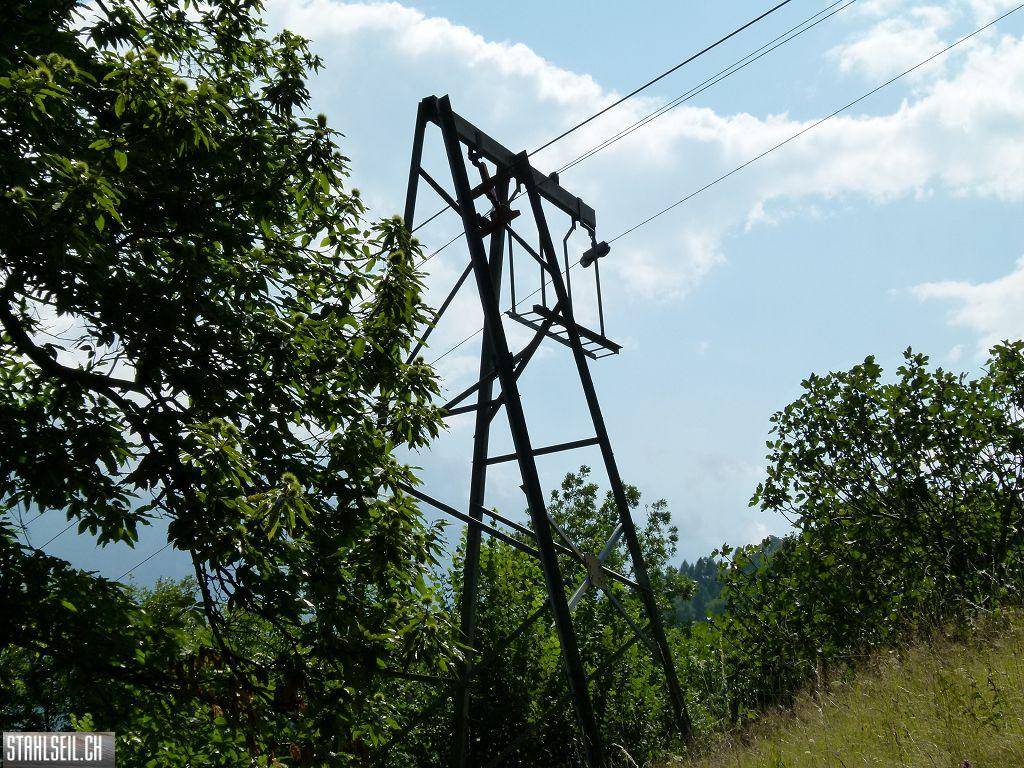 k-P1140860.JPG