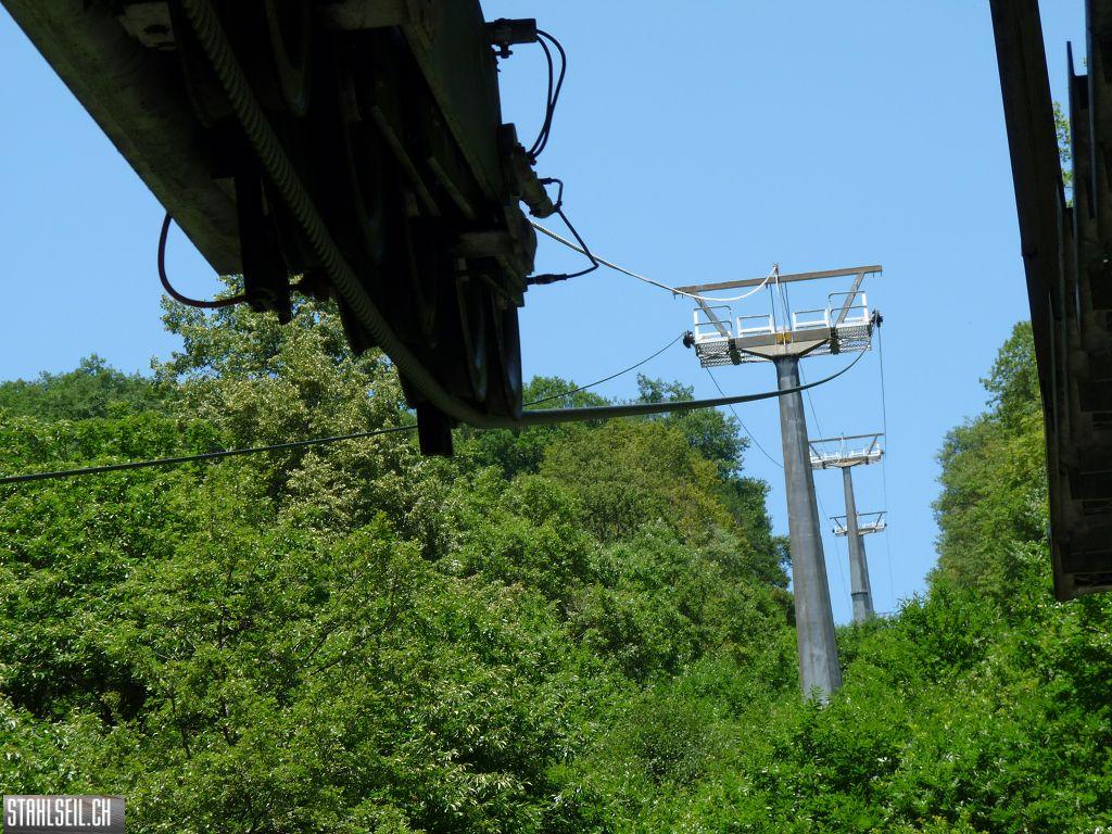 k-P1170418.JPG