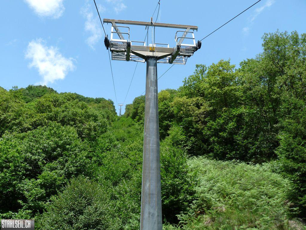 k-P1170420.JPG