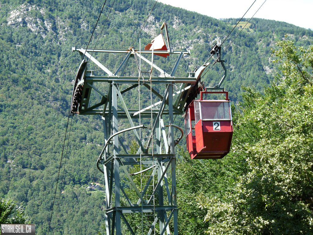 k-P1170579.JPG