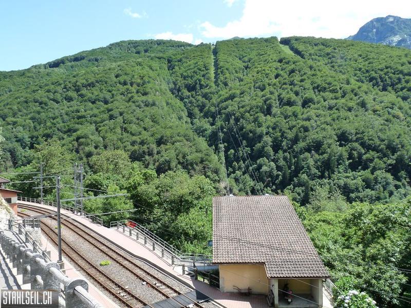 k-P1170523.JPG
