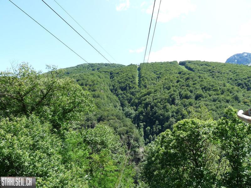 k-P1170525.JPG