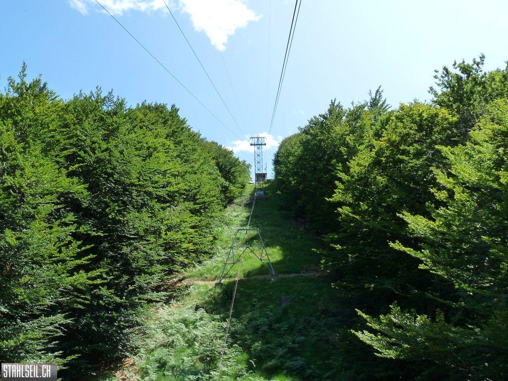 k-P1170532.JPG