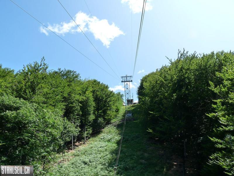 k-P1170533.JPG