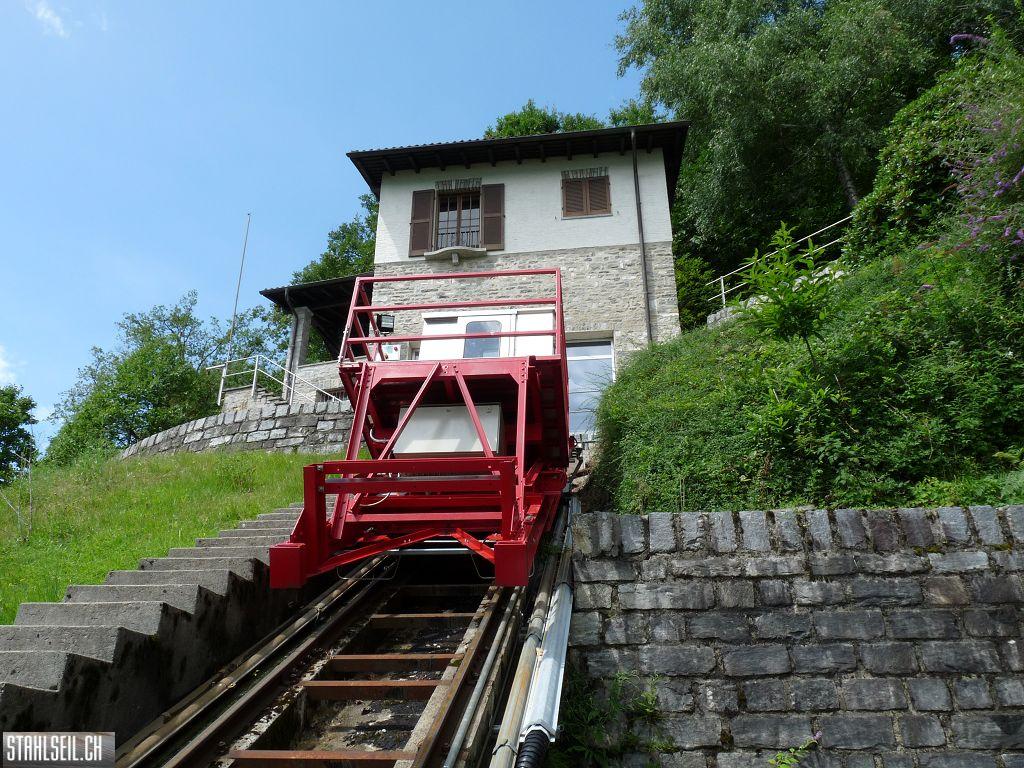 k-P1170353.JPG