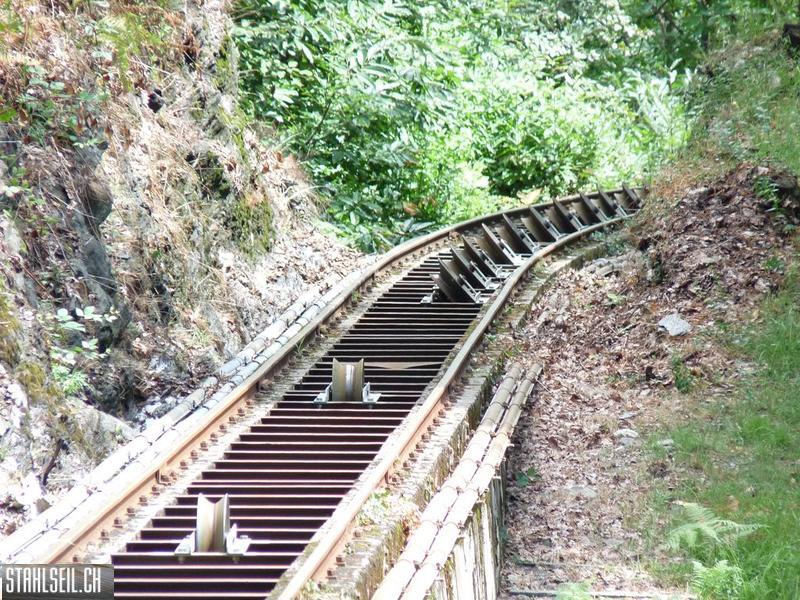 k-P1170354.JPG