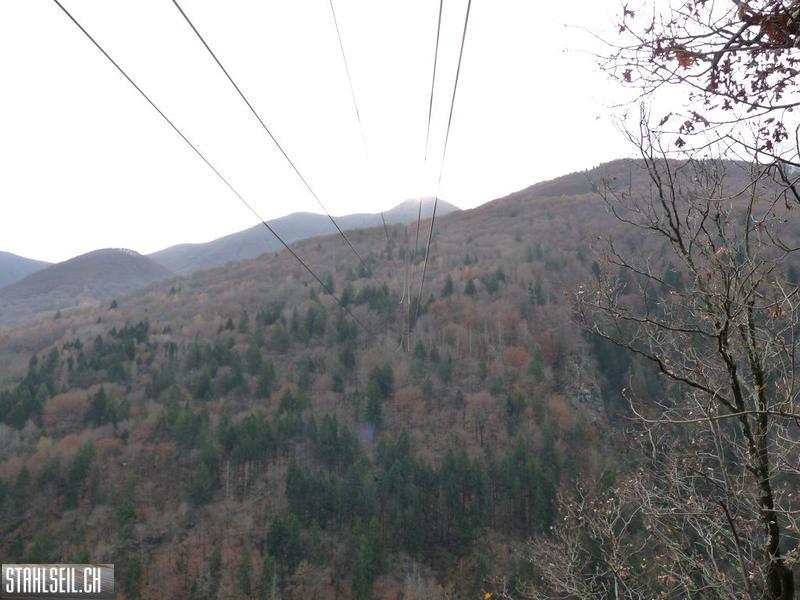 k-P1230355.JPG