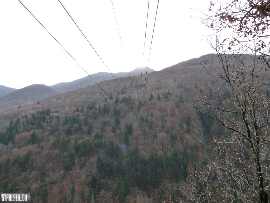 k-P1230355.JPG