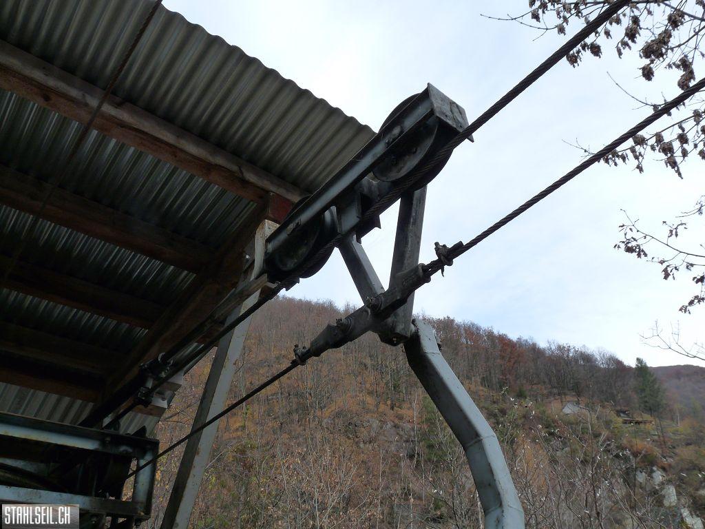 k-P1230353.JPG
