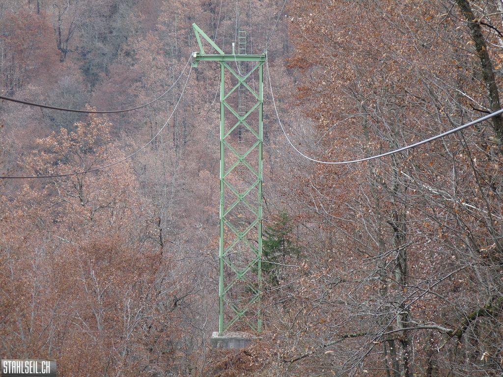 k-P1230377.JPG