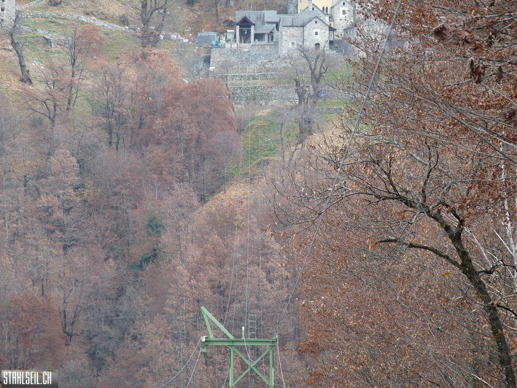 k-P1230378.JPG